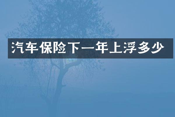 汽车保险下一年上浮多少