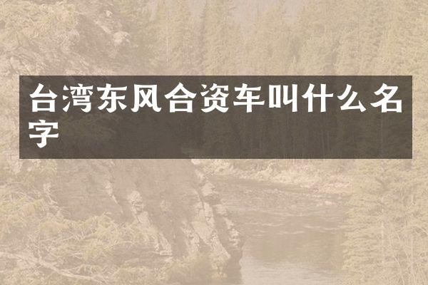 台湾东风合资车叫什么名字