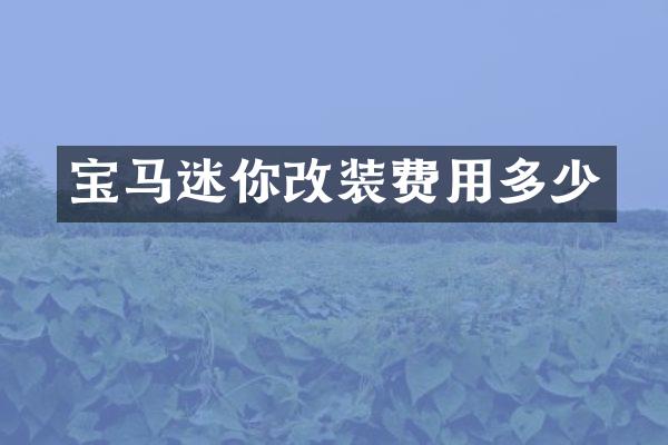 宝马迷你改装费用多少