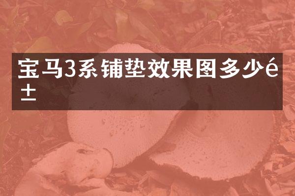 宝马3系铺垫效果图多少钱