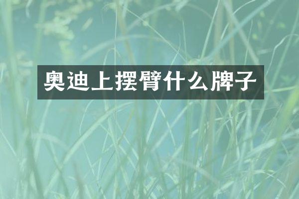 奥迪上摆臂什么牌子