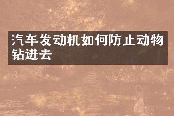 汽车发动机如何防止动物钻进去