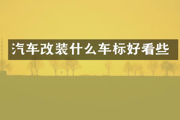 汽车改装什么车标好看些