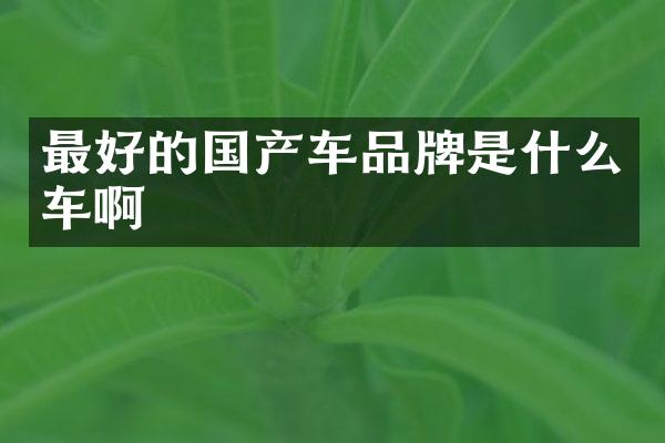 最好的国产车品牌是什么车啊