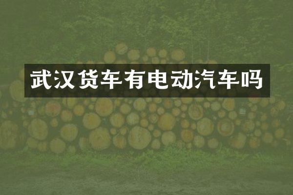 武汉货车有电动汽车吗