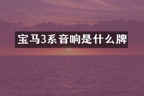 宝马3系音响是什么牌