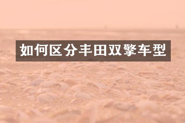 如何区分丰田双擎车型
