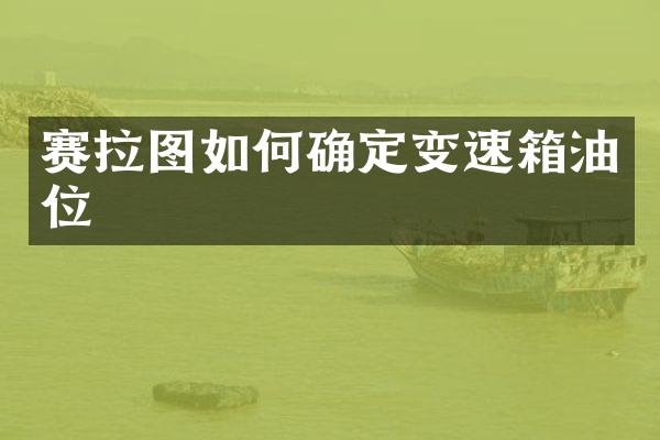 赛拉图如何确定变速箱油位
