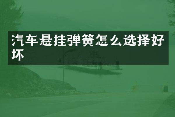 汽车悬挂弹簧怎么选择好坏