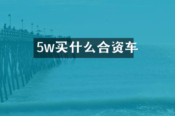 5w合资车