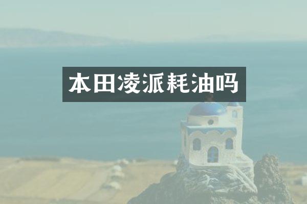 本田凌派耗油吗