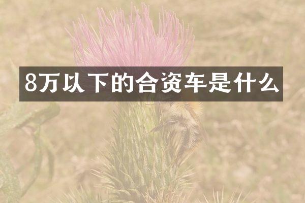 8万以下的合资车是什么