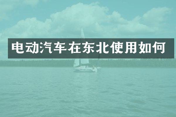电动汽车在东北使用如何