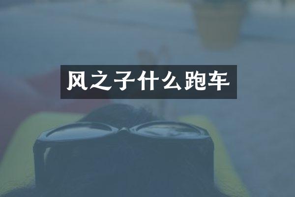 风之子什么跑车