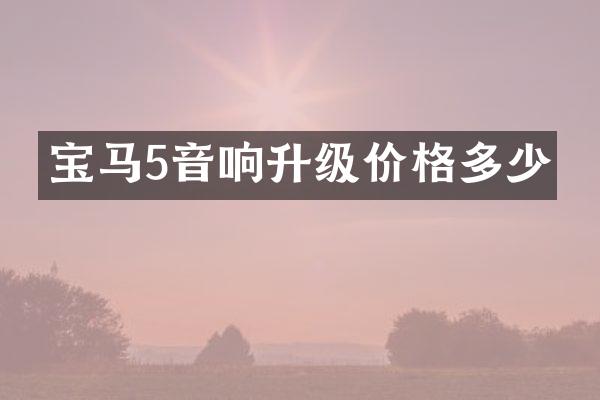 宝马5音响升级价格多少