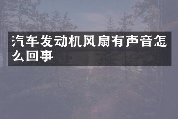 汽车发动机风扇有声音怎么回事