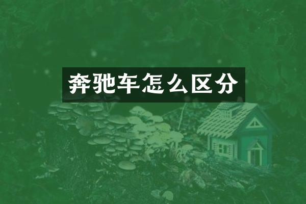 奔驰车怎么区分