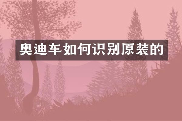 奥迪车如何识别原装的