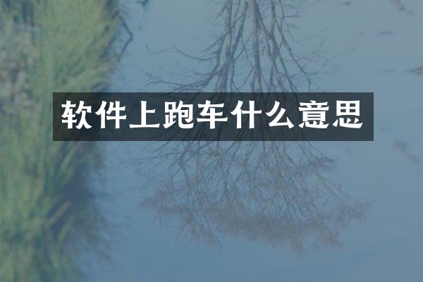 软件上跑车什么意思