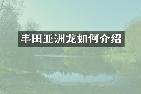 丰田亚洲龙如何介绍