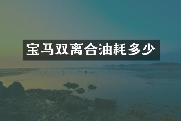 宝马双离合油耗多少