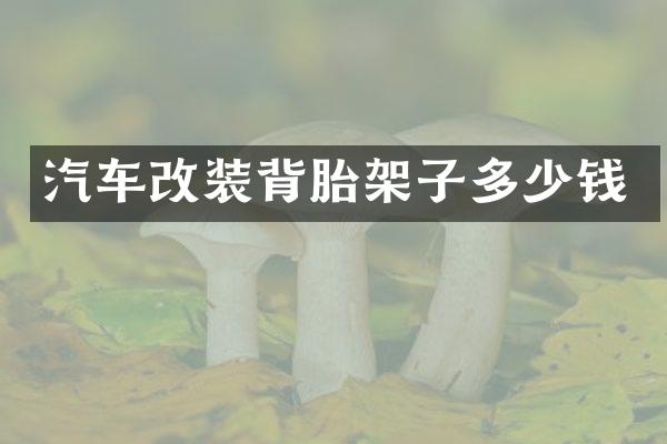 汽车改装背胎架子多少钱