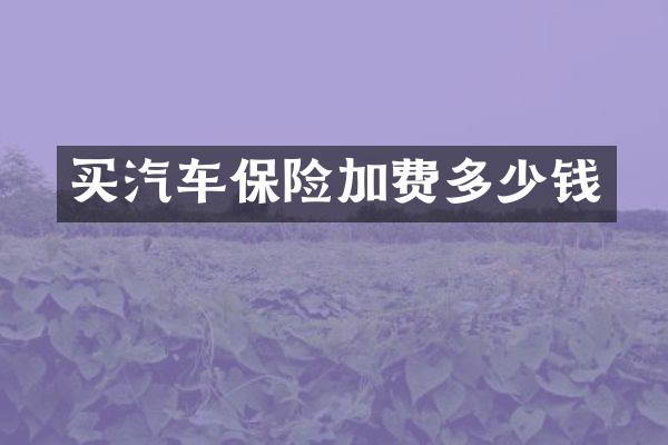 买汽车保险加费多少钱