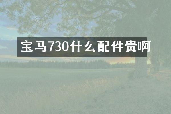 宝马730什么配件贵啊