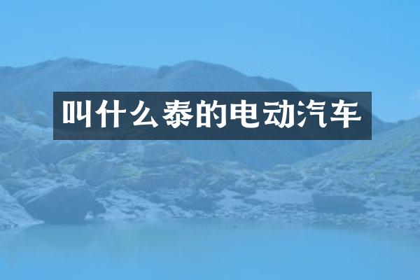 叫什么泰的电动汽车