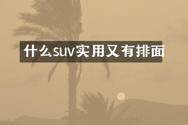 什么suv实用又有排面