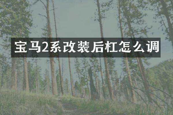 宝马2系改装后杠怎么调