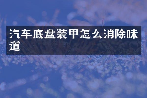 汽车底盘装甲怎么消除味道