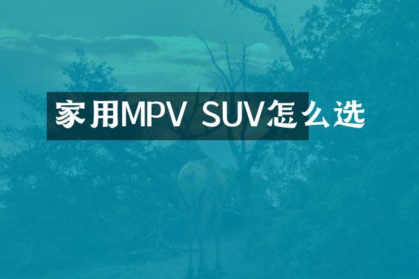 家用MPV SUV怎么选