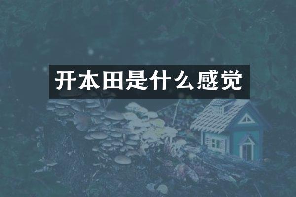 开本田是什么感觉