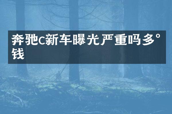 奔驰c新车曝光严重吗多少钱