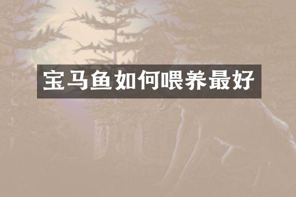 宝马鱼如何喂养最好