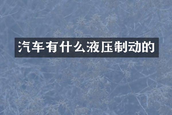汽车有什么液压制动的