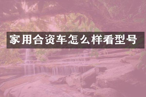 家用合资车怎么样看型号