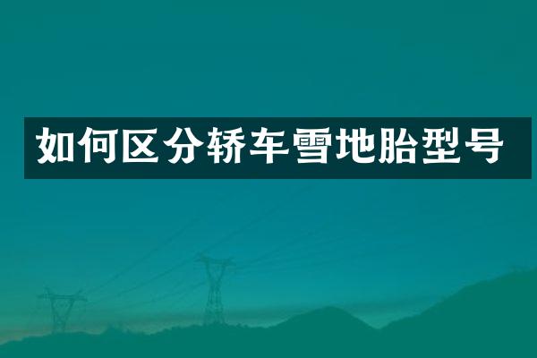 如何区分轿车雪地胎型号