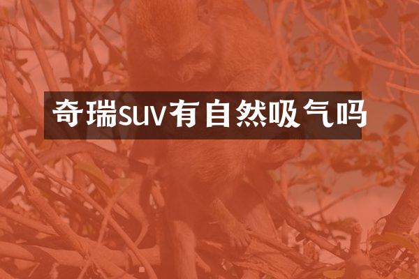 奇瑞suv有自然吸气吗