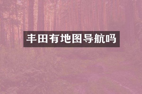 丰田有地图导航吗