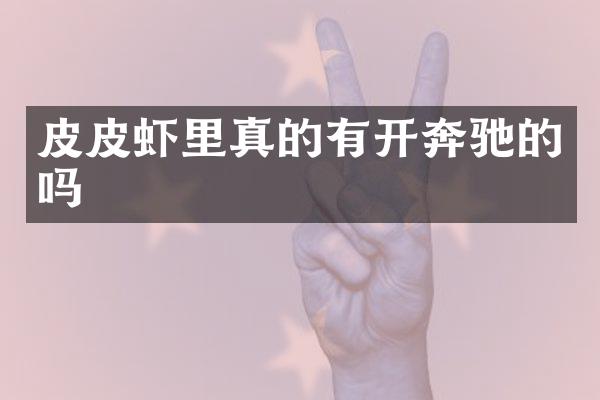 皮皮虾里真的有开奔驰的吗