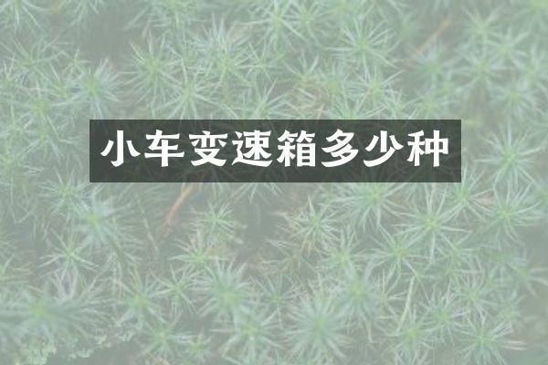 小车变速箱多少种