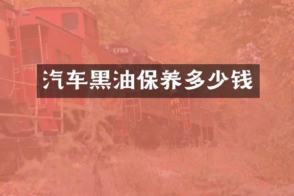 汽车黑油保养多少钱