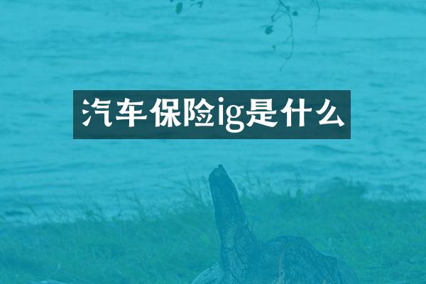 汽车保险ig是什么