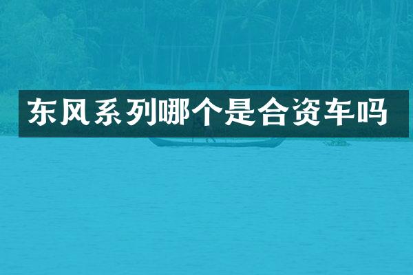 东风系列哪个是合资车吗