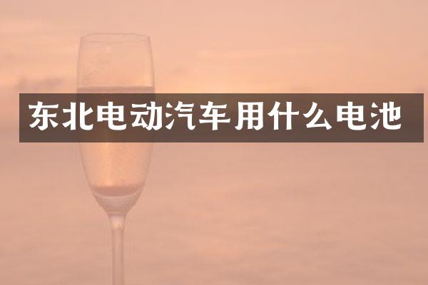东北电动汽车用什么电池