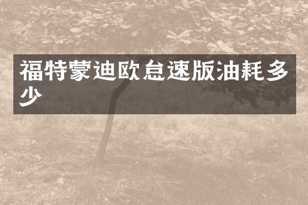 福特蒙迪欧怠速版油耗多少