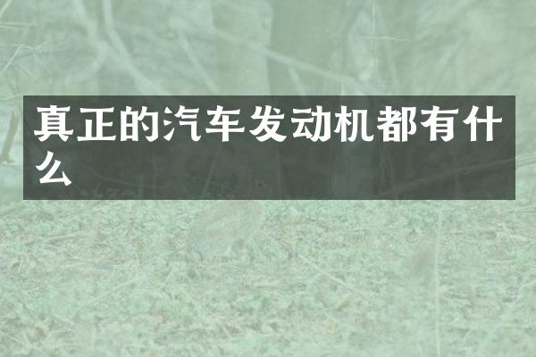 真正的汽车发动机都有什么