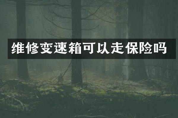 维修变速箱可以走保险吗